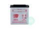 МОТО Аккумулятор OUTDO YB30L-B Ca/Ca 12V 30AH YB30L-В фото 2