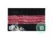 МОТО Аккумулятор OUTDO UTX4L-BS AGM Start&Stop 12V 3AH UTX4L-BS фото 3