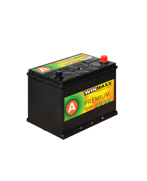 Автомобильный аккумулятор WINMAXX PREMIUM ASIA 75 Ah 650EN R+ 768780 фото