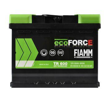 Автомобільний акумулятор FIAMM Ecoforce AFB (TR600) (L2) 60Аh 600А R+ FIAMM-1278 фото